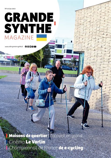 grande-synthe insee